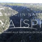 Escursione da cava Lavinaro a Calicantone