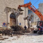 Sui ficus estirpati a Comiso ristabiliamo la verità