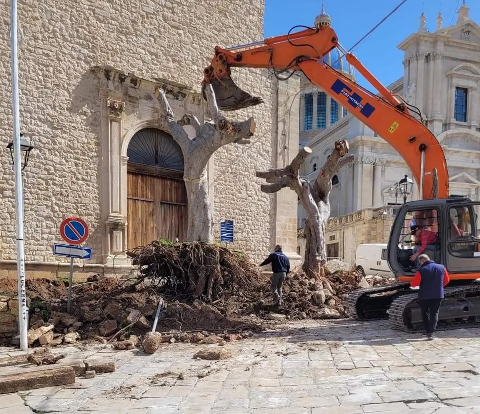 Sui ficus estirpati a Comiso ristabiliamo la verità