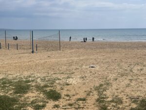 La carcassa di un animale in spiaggia a Marina di Ragusa
