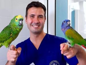 Morto Marco Petrini «Dottorpet», il veterinario famoso sui social