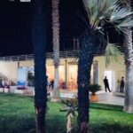 Incendio di due palme al porto di Marina di Ragusa