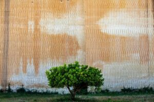 Fotografia, la Sicilia plurale di Angelo Pitrone