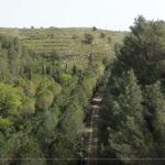 Escursione lungo la ferrovia di Ciccio Pecora