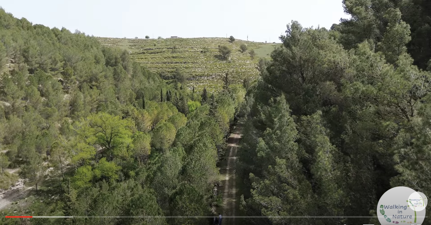 Escursione lungo la ferrovia di Ciccio Pecora. VIDEO