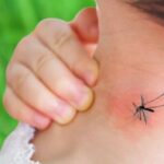 Torna la zanzara porta malaria, ma niente allarmismi