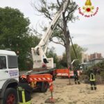 32enne cade da un cestello, rovina da altezza di 6 metri, elisoccorso