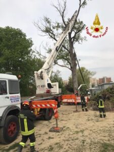 32enne cade da un cestello, rovina da altezza di 6 metri, elisoccorso