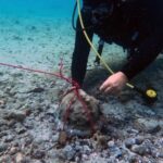 Archeologia, un elmo nel mare di Noto