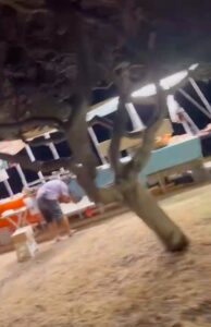 Il baccano “persistente ed ininterrotto” a Marina di Ragusa