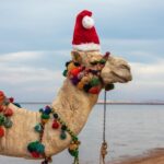 Natale in Egitto: Guida Completa per una Vacanza Indimenticabile