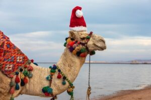 Natale in Egitto: Guida Completa per una Vacanza Indimenticabile
