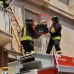 Cane abbandonato a Modica, denunciata la proprietaria