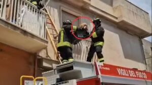 Cane abbandonato a Modica, denunciata la proprietaria