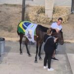 Anche il cavallo ai funerali di Giuseppe Curvà