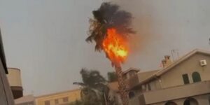 Un fulmine brucia una palma a Ispica