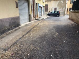 Chi dà da mangiare ai piccioni a Ragusa?