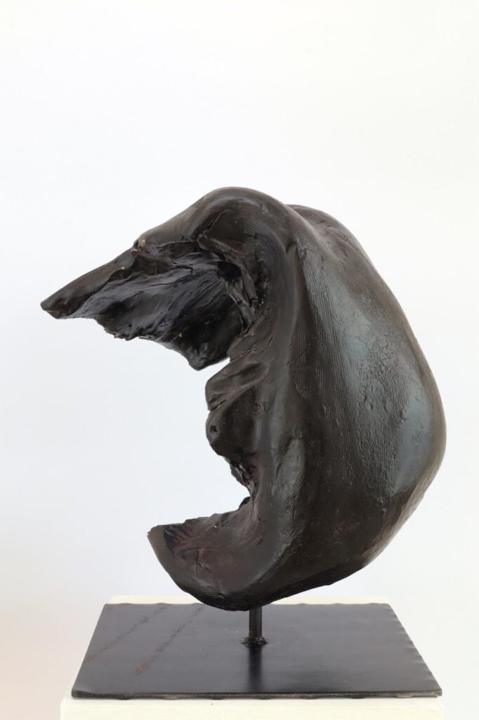 Le sculture di Schettino, la pittura di Forte, a Modica