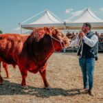 L'assessore all'agricoltura Barbagallo inaugura la Fiera Agroalimentare