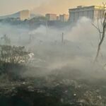 Spento l'incendio limitrofo al cimitero di Catania