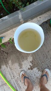 Acqua inquinata in contrada Gatto Corvino, e Iblea Acque?