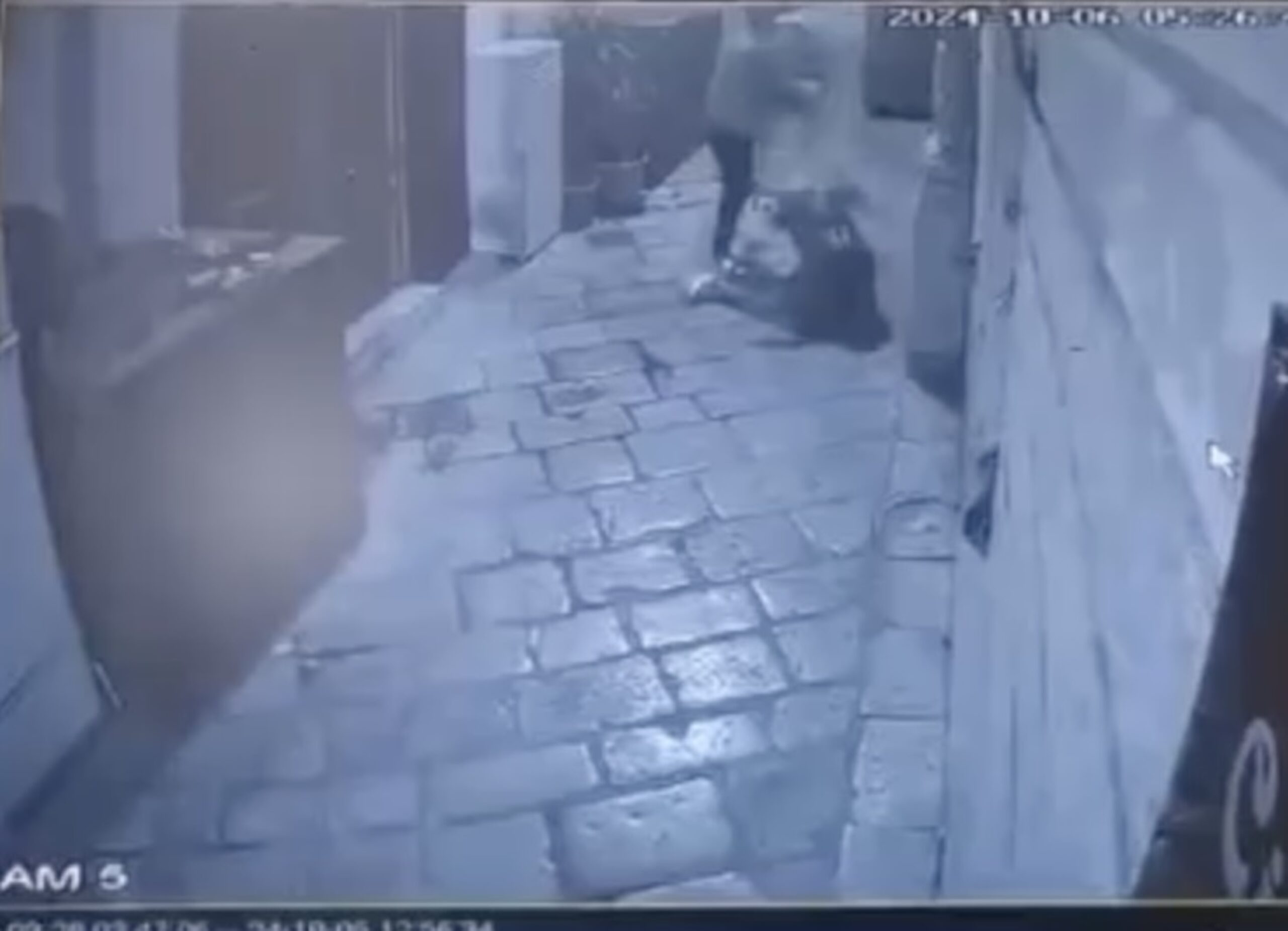 Calci e pugni in via Grimaldi a Modica, il VIDEO del degrado