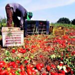 Ispica, due braccianti agricoli tunisini se le danno di santa ragione