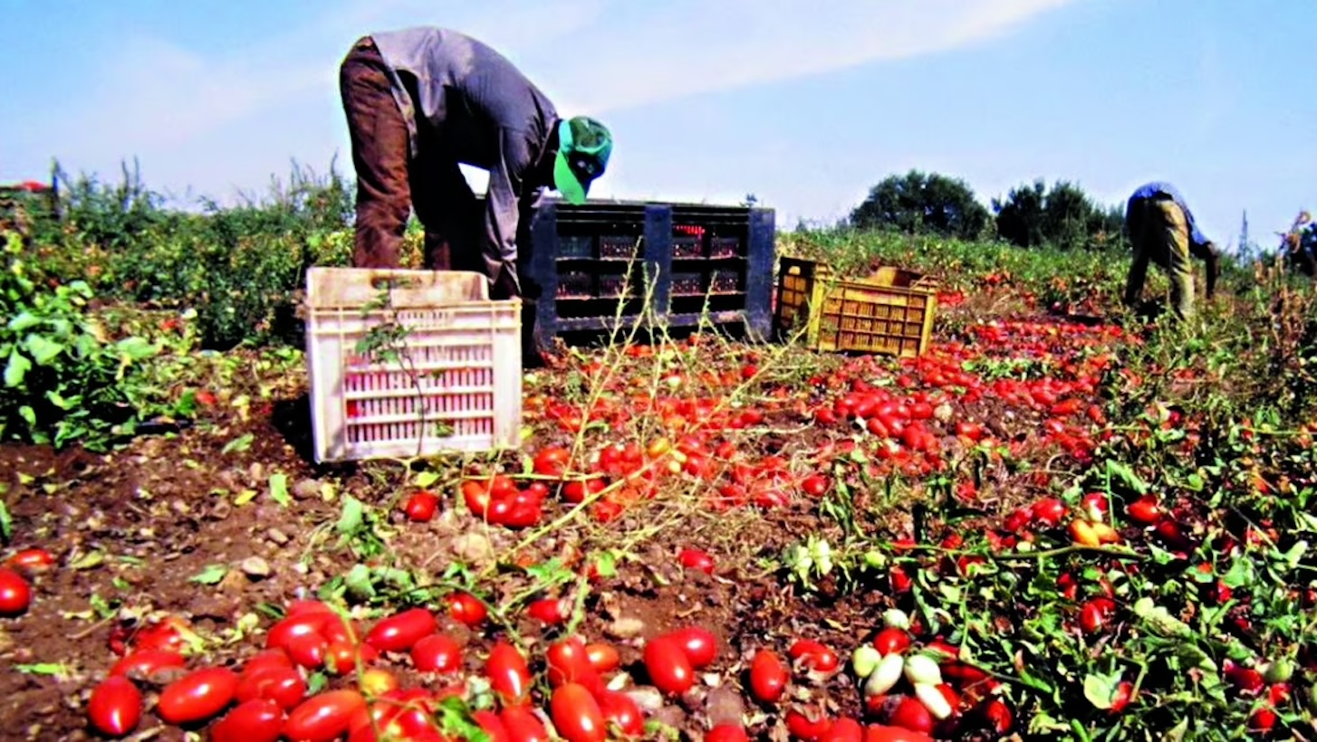 Ispica, due braccianti agricoli tunisini se le danno di santa ragione