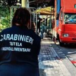 Aci Castello: nel ristorante 200 kg di cibo fuorilegge