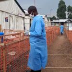 Febbre del Congo, quali sono i sintomi e i rischi di contagio