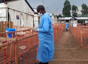 Febbre del Congo, quali sono i sintomi e i rischi di contagio. Colpisce i bambini