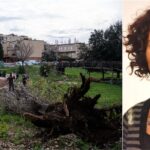 Francesca, l'albero le cade addosso, il figlio 12enne: "Mamma, rispondimi!"