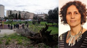 Francesca, l'albero le cade addosso, il figlio 12enne: "Mamma, rispondimi!"