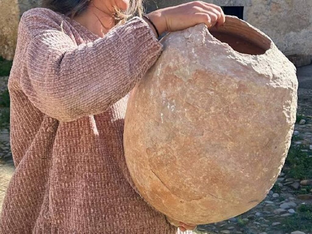 Trovati resti alimentari in un'anfora di 2300 anni fa in Sicilia