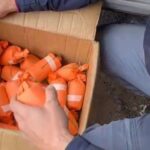 Maxi sequestro di bombe Sinner: l’esplosione sarebbe stata devastante