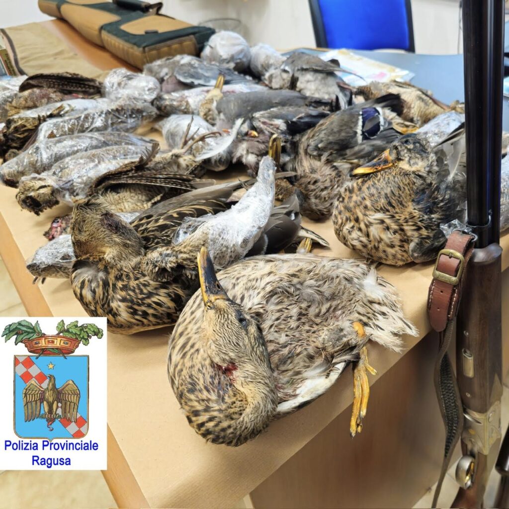 Denunciati due bracconieri maltesi alla Stazione passeggeri del Porto di Pozzallo