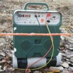 Difendere le Coltivazioni dai Cinghiali: Strategie Efficaci con il Recinto Elettrico