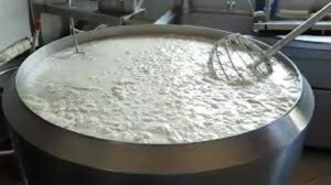 Vittoria, cagliata proveniente da Svizzera e Lituania: la Gdf sequestra 700 chili di formaggi a pasta filata