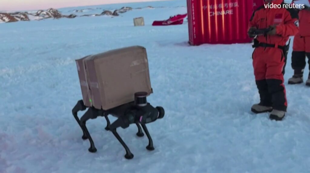 Ecco il &ldquo;cane robot&rdquo; in grado di camminare sulla neve e trasportare pacchi