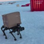 Ecco il &ldquo;cane robot&rdquo; in grado di camminare sulla neve e trasportare pacchi