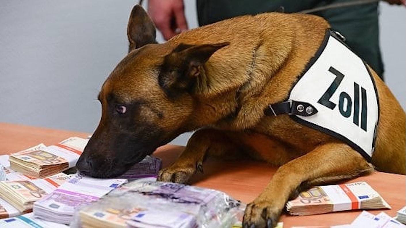 Fisco: imprenditore evasore a Modica, denaro scovato con il cane. 106 mila euro in contanti a casa