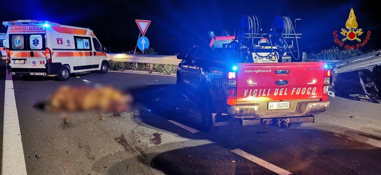 Due auto contro una mucca in autostrada per Modica, tre donne coinvolte, una in gravidanza