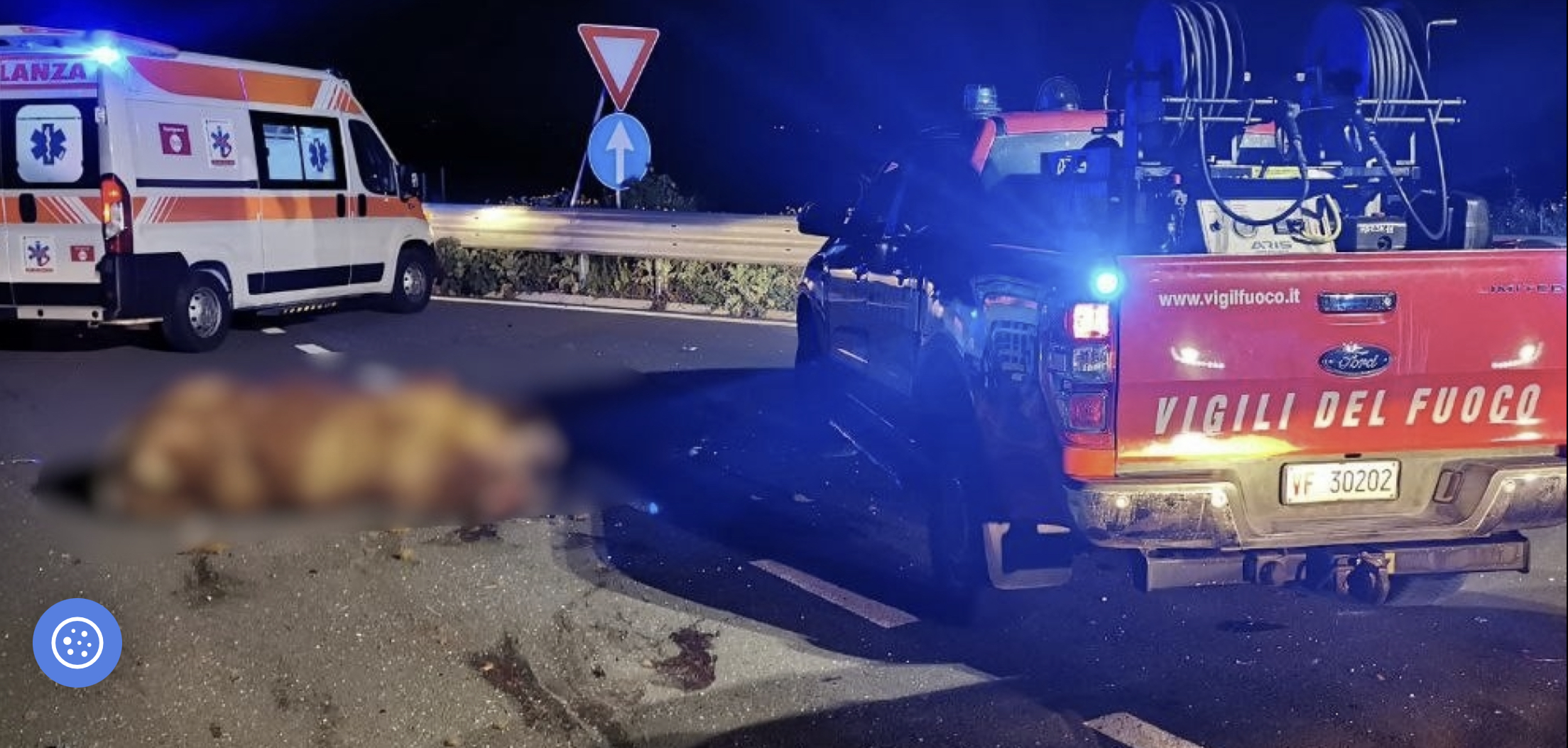La mucca scappata dal macello invade l’autostrada, l’incidente, i feriti. L’assurdo a Modica
