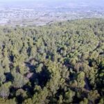 Escursione al Maccone Bianco a Ispica