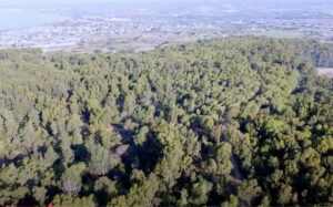 Escursione al Maccone Bianco a Ispica