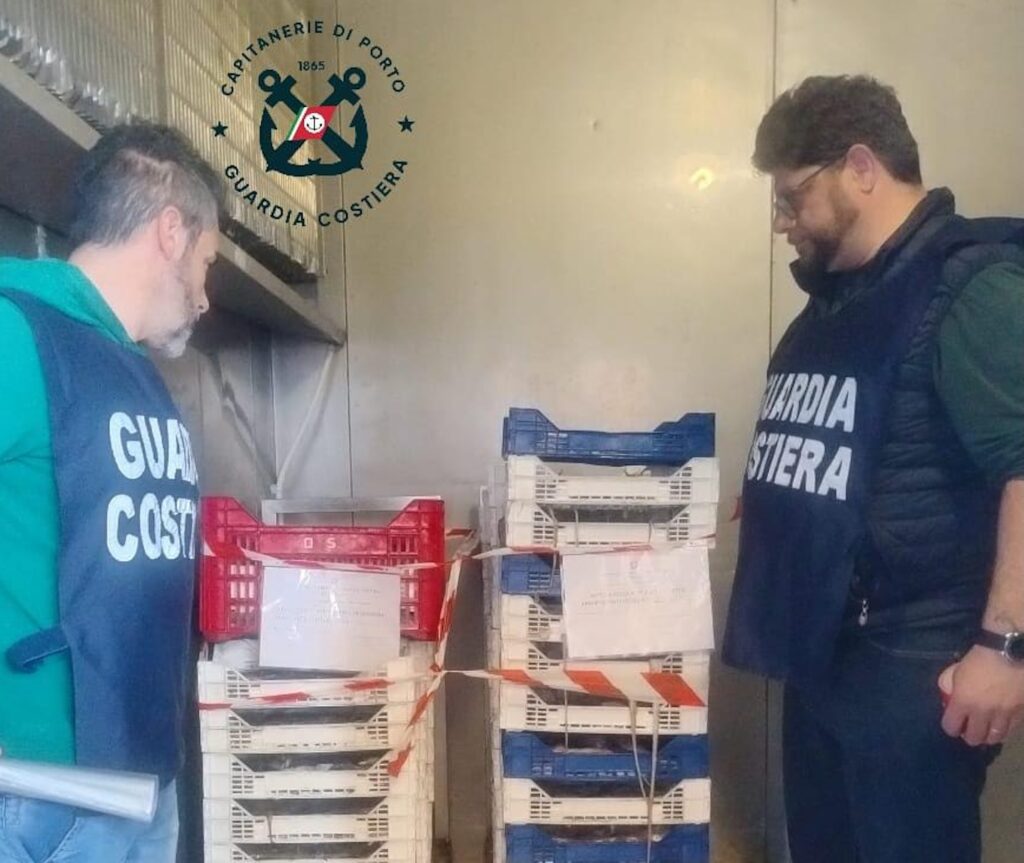 Pesca illegale di novellame (e non solo), sequestrati 800 chili di pesce da Pozzallo a Scoglitti