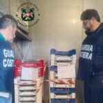 Pesca illegale di novellame (e non solo), sequestrati 800 chili di pesce da Pozzallo a Scoglitti