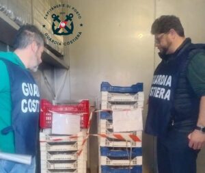 Pesca illegale di novellame (e non solo), sequestrati 800 chili di pesce da Pozzallo a Scoglitti