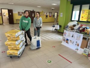 Cuori piccoli, gesti grandi, i bambini della Quasimodo di Ragusa in aiuto dei cani del rifugio