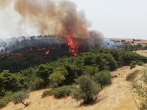 Incendio a Giarratana: le fiamme minacciano alcune abitazioni